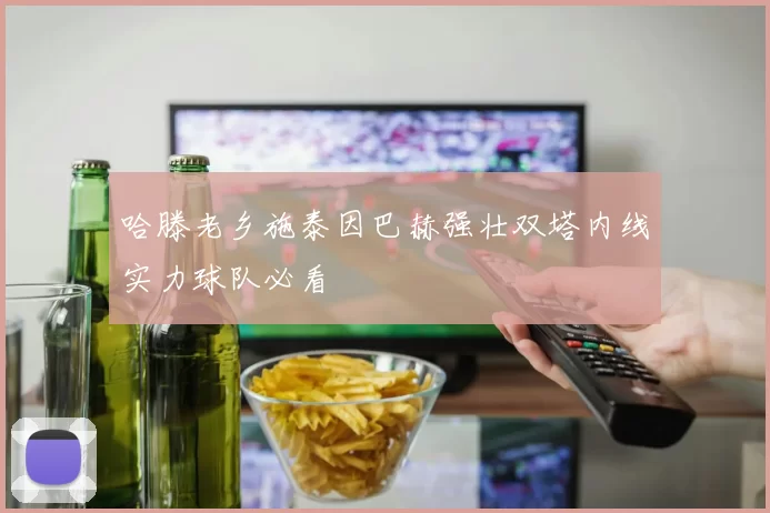 哈滕老乡施泰因巴赫强壮双塔内线实力球队必看